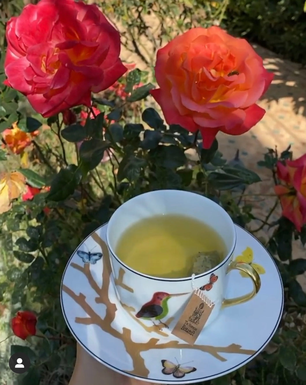The Garden's of Marrakech Moroccan Tea