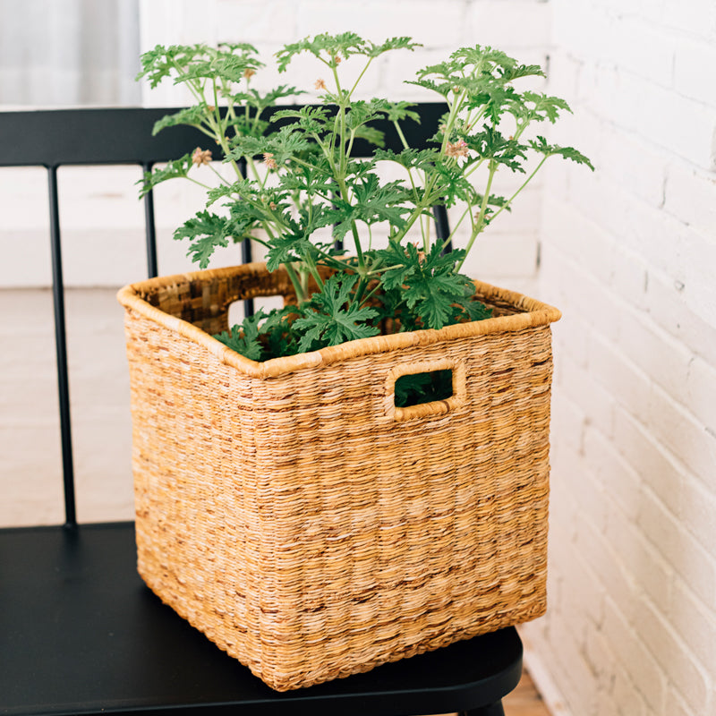 Banana Twine Cube